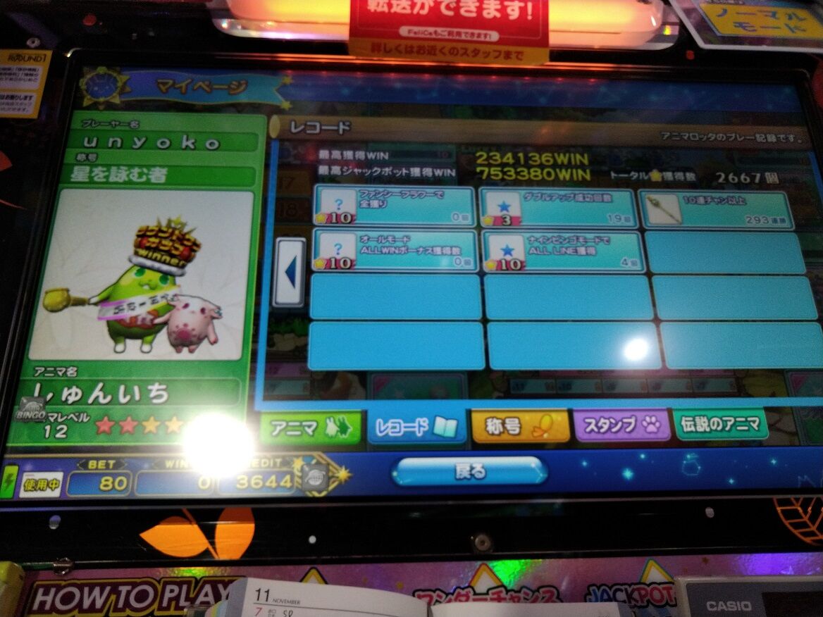 アニマロッタ６ マイホｒｙ店 ファンシーフラワーを遊んでみました ペイント イット グリーン