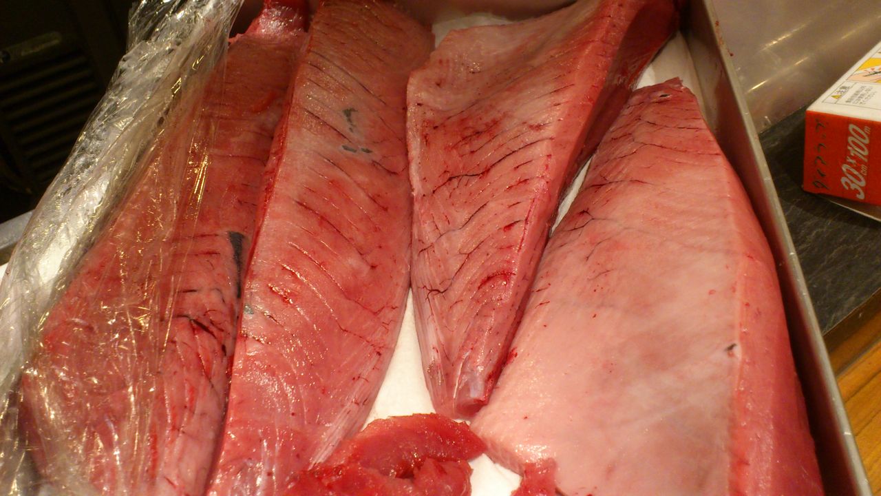 本メジマグロ 生メカジキ 魚錠のおやじの独り言