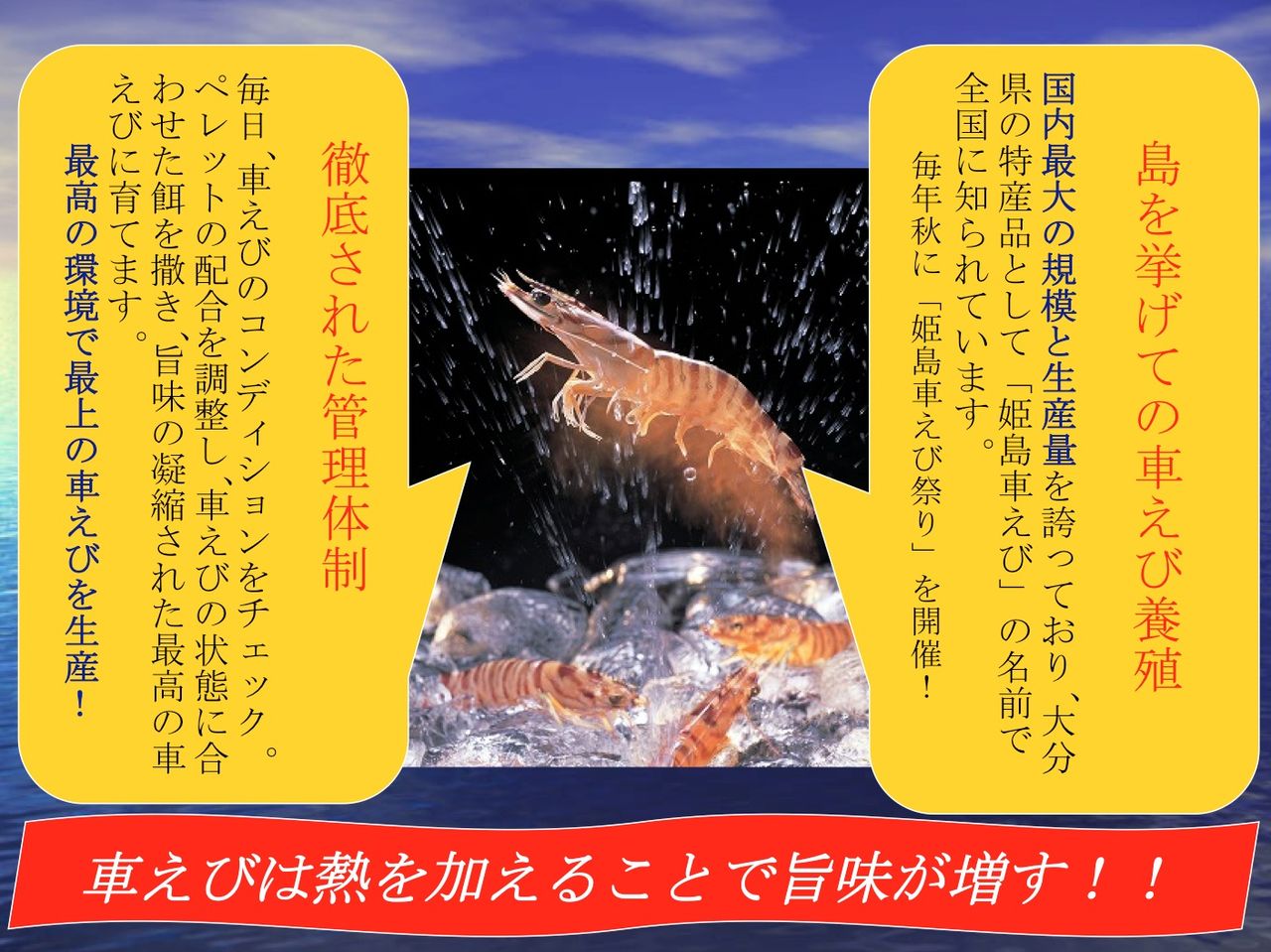 魚錠塾 車海老編 魚錠のおやじの独り言