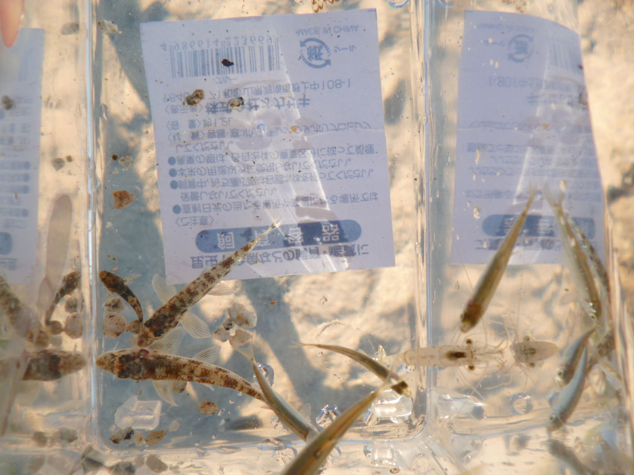 fukuoka 魚ker fukuoka 魚ker