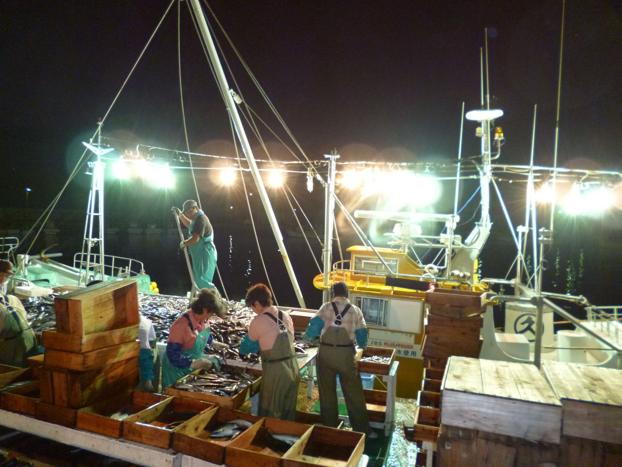 fukuoka 魚ker fukuoka 魚ker