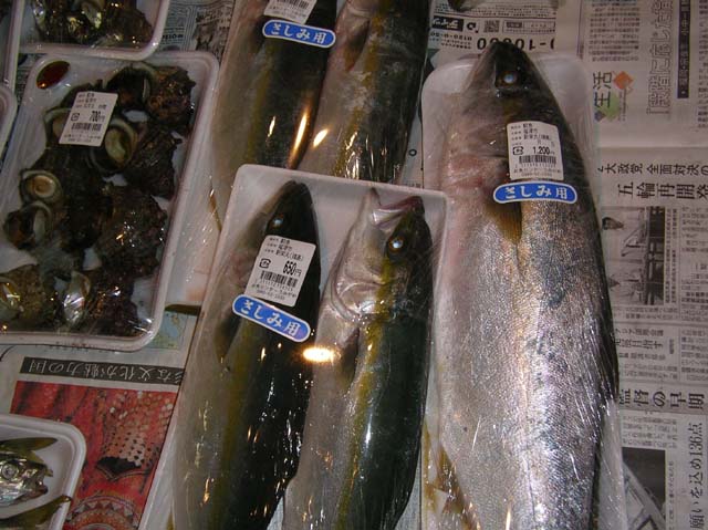 お魚センター うみがめ ｆｕｋｕｏｋａ 魚ｋｅｒ