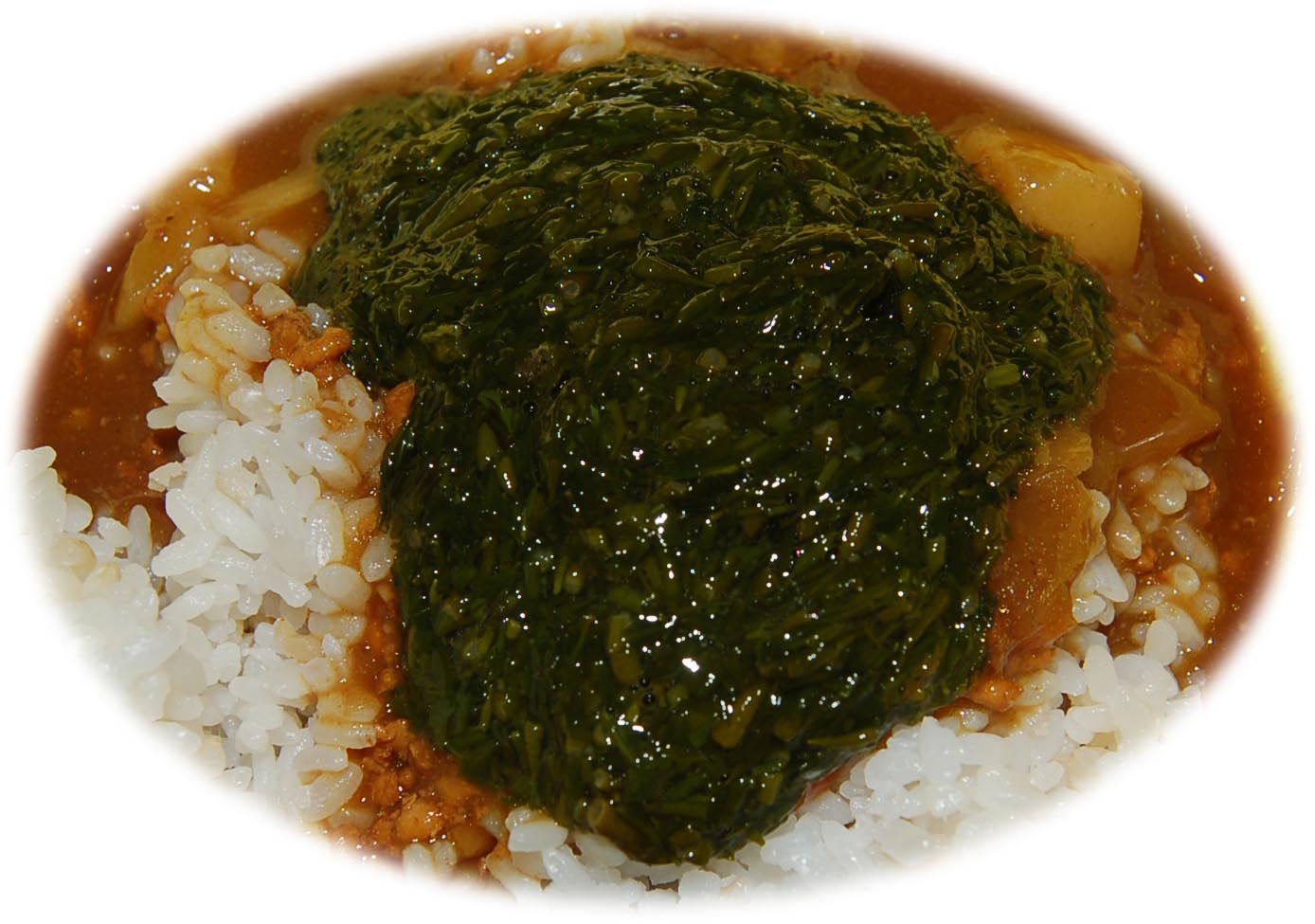 注目 新メニュー あかもくカレー ｆｕｋｕｏｋａ 魚ｋｅｒ