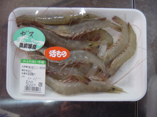 豊前ふれあい市場 ｆｕｋｕｏｋａ 魚ｋｅｒ