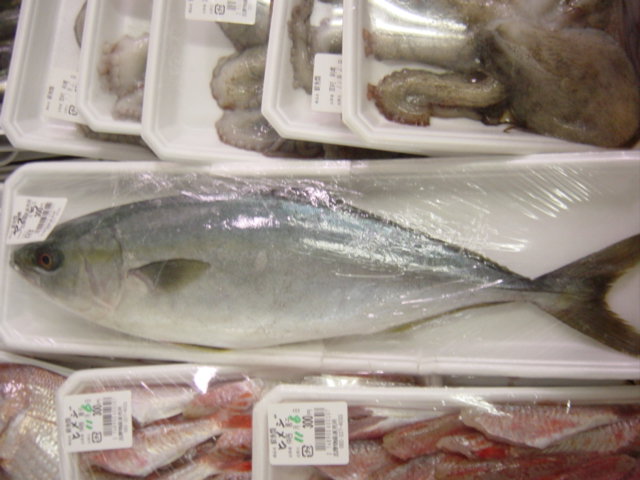 秋も深まる 志摩の四季 ｆｕｋｕｏｋａ 魚ｋｅｒ