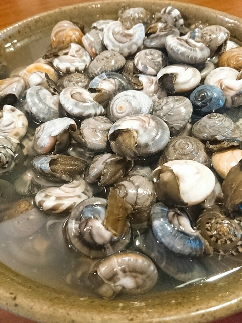 2019-10-11-11-20-29