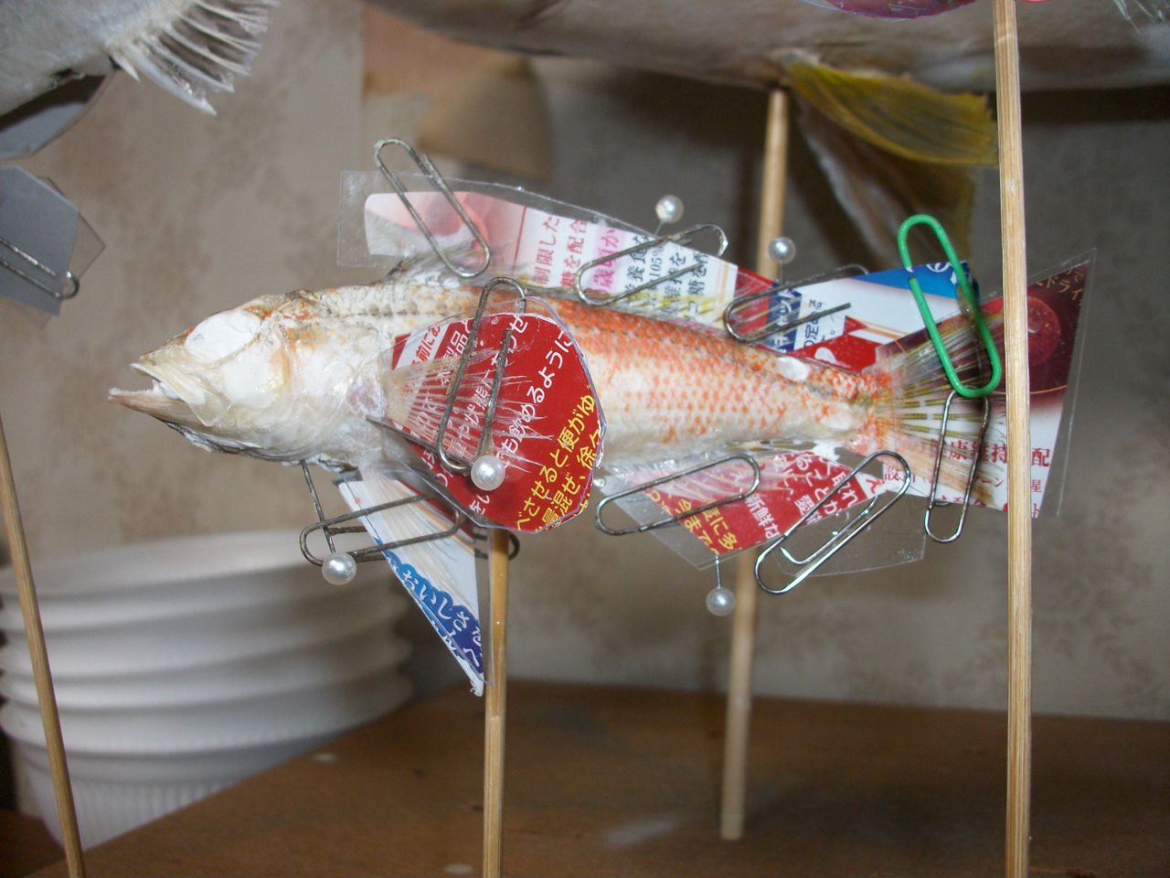作成途中の作品たち 魚屋 天然堂 うおや てんねんどう 作成途中の作品たち 魚屋 天然堂 うおや てんねんどう