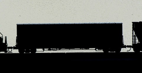 20130605:P1030277(1)11