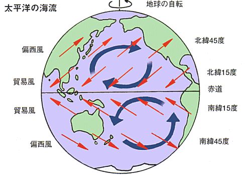 2018年07月29日 : 橋本さんの意見
