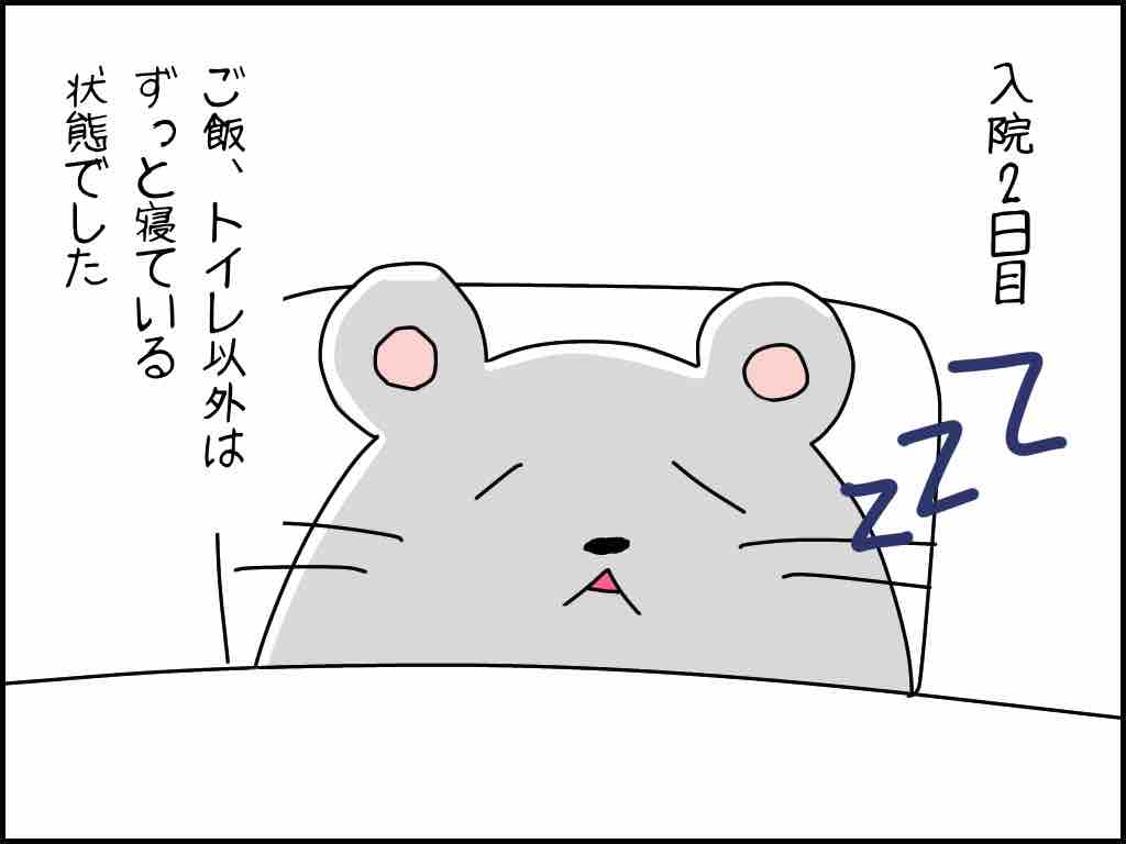 精神病院へ入院しました 入院二日目 代前半で治験をしたら人生詰みました 精神病院へ入院しました 入院二日目 代前半で治験をしたら人生詰みました