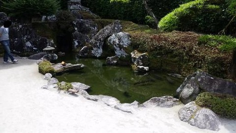 20180616_104520