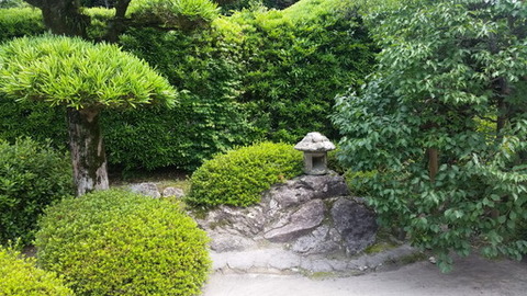 20180616_110133