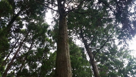 20180616_130711