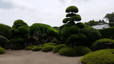 20180616_112957