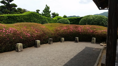 20180616_112326