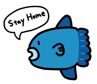マンボウ
