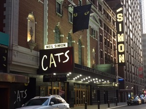 cats