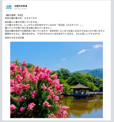80A961B7-7BA0-425A-90A2-FDF7B24768F1