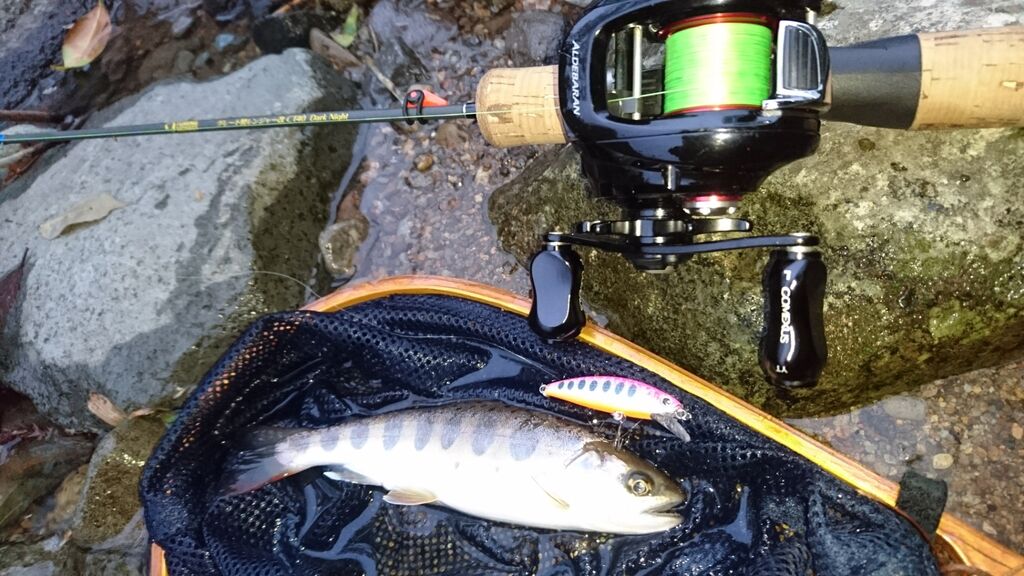 渓流トラウトにどっぷり 大分 Tatsurinfilmのp Chanのfishingブログ 渓流トラウトにどっぷり 大分 Tatsurinfilmのp Chanのfishingブログ