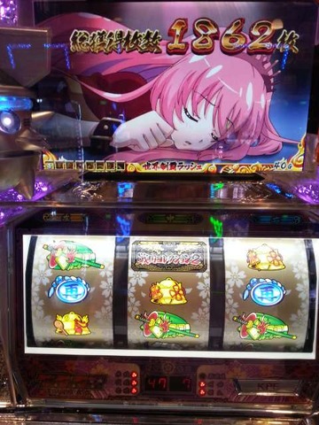 写真.jpeg