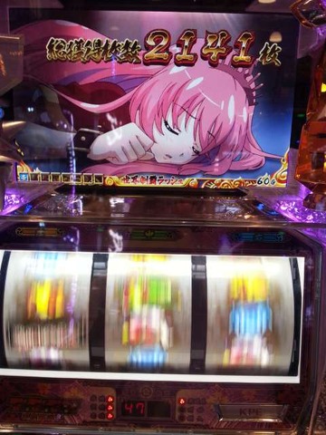 写真.jpeg