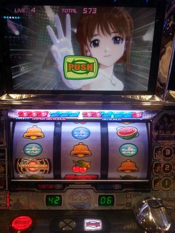 写真.jpeg