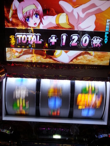 写真.jpeg
