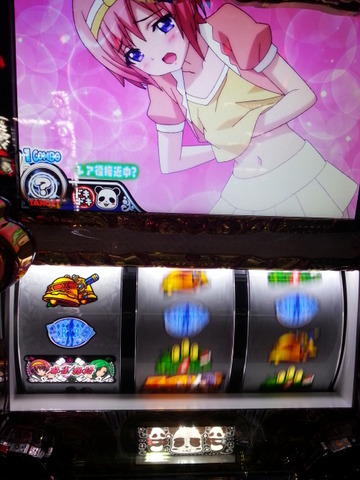 写真.jpeg