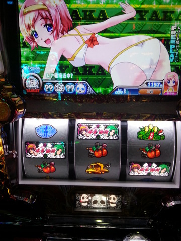 写真.jpeg
