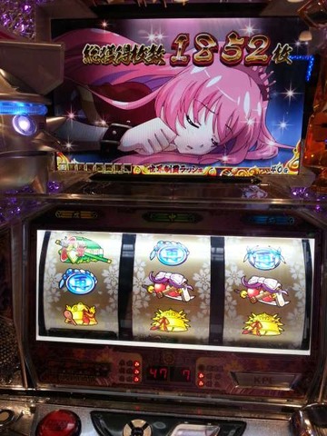 写真.jpeg