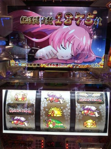 写真.jpeg
