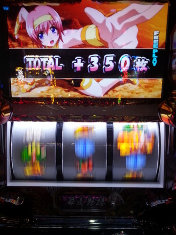 写真.jpeg