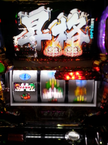 写真.jpeg