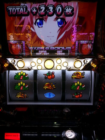 写真.jpeg