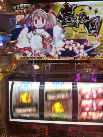 写真.jpeg