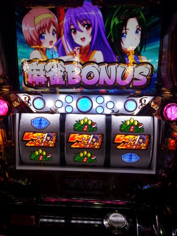 写真.jpeg