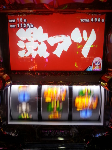 写真.jpeg