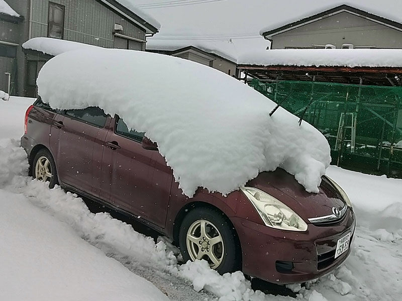 新年の雪 無線 電子工作と趣味の日記