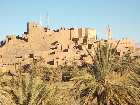 DSCN5395