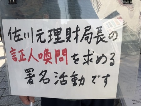S__13828120