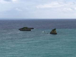 IMG_0988