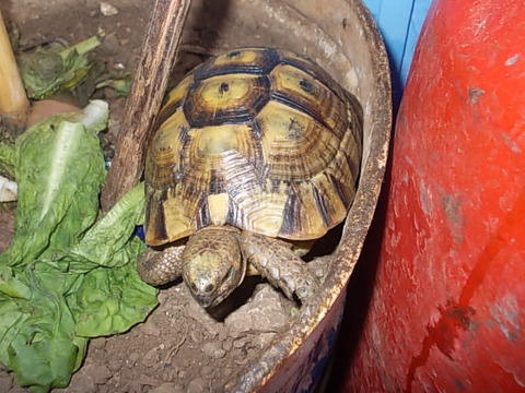 DSCN5304