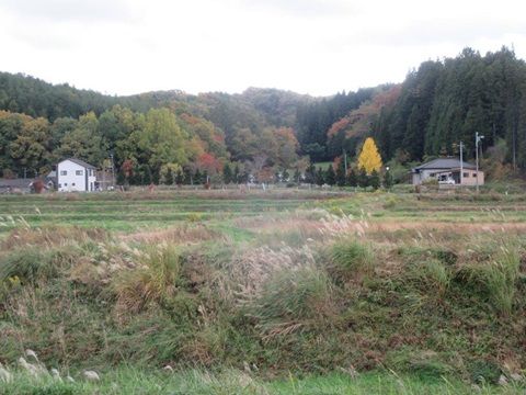 飯舘村交流センターから見た景色
