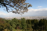 ŷ礫