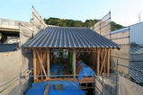�����