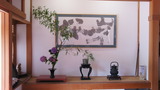 竹と紫陽花