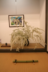 花展の後1