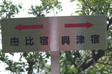 ɸ