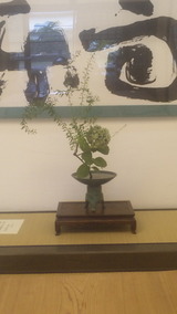 自由花