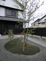 ����š��